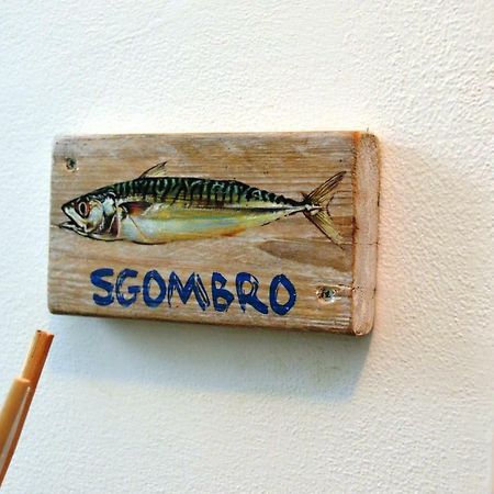 La Sciabbega B&B Porto Recanati Kültér fotó